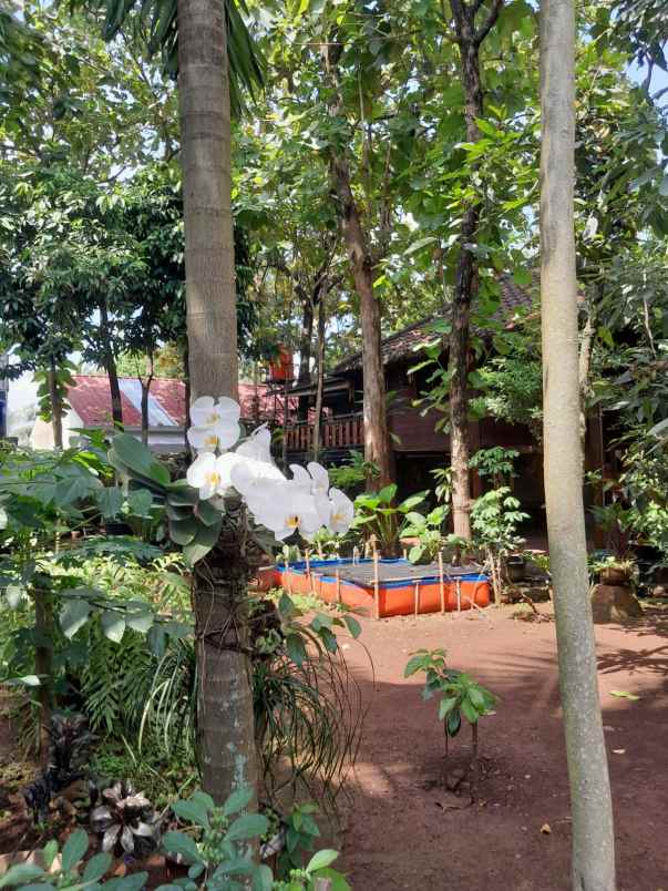 dijual tanah cibubur cimanggis kota depok