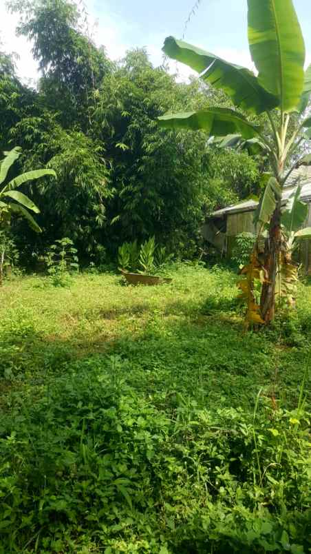 dijual tanah ciloa