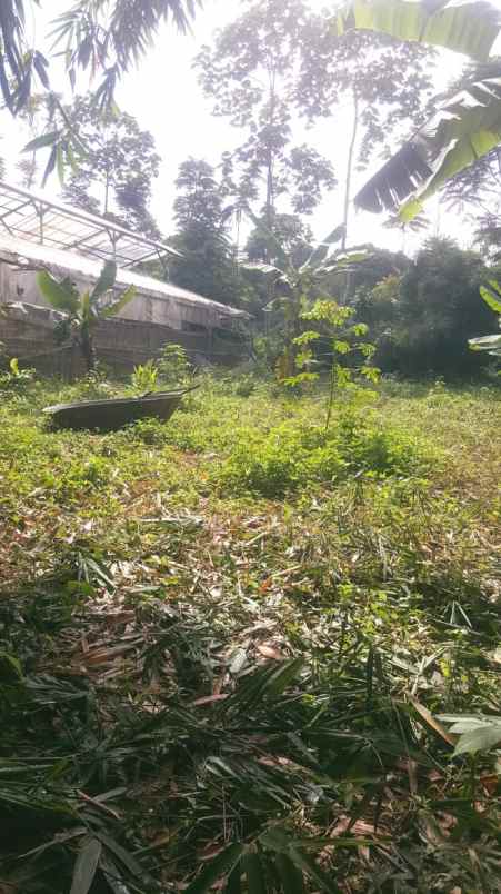 dijual tanah ciloa