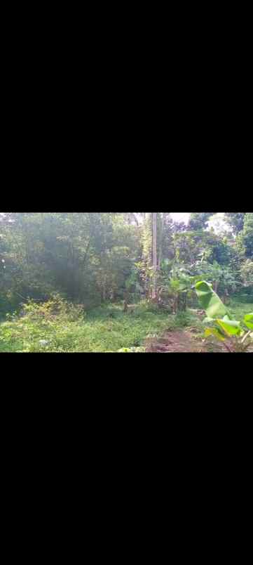 dijual tanah cirangkong cemplang