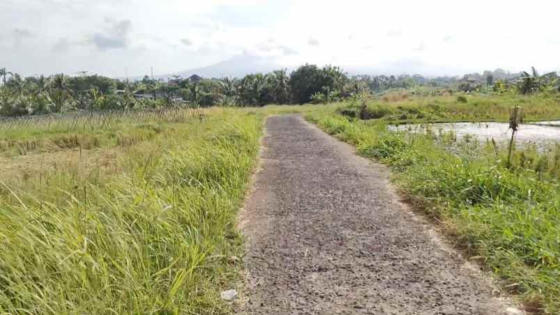 dijual tanah desa berembeng selemadeg