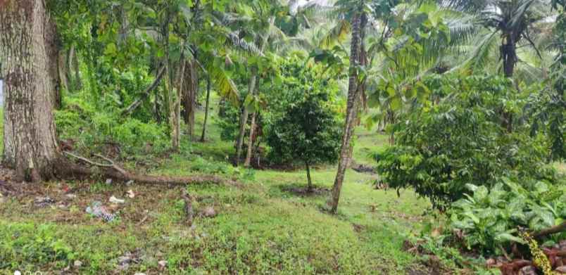 dijual tanah desa lalanglingah kec