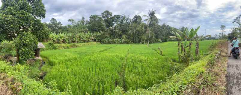 dijual tanah desa sukasari kec