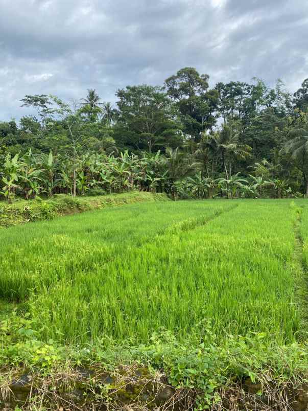 dijual tanah desa sukasari kec