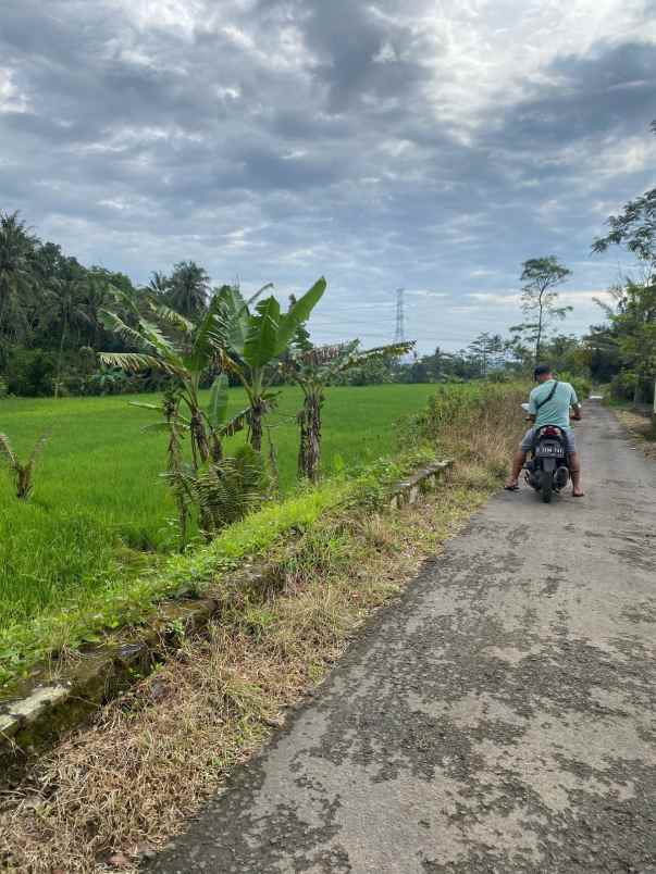 dijual tanah desa sukasari kec