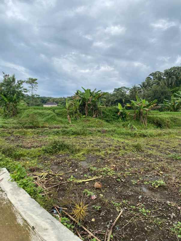 dijual tanah desa sukasari kec