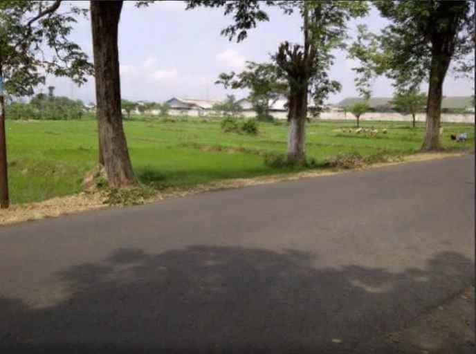 dijual tanah di raya kalirejo sukorejo pandaan