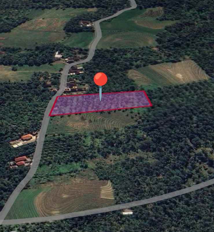 dijual tanah ds tireman kec selemadeg