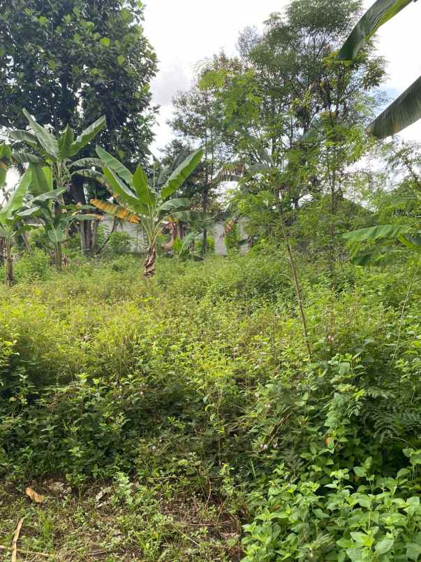 dijual tanah dukuh pomah