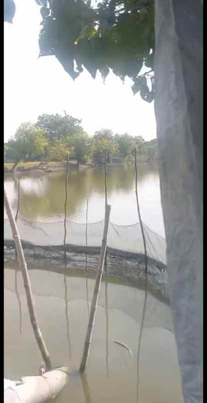 dijual tanah jalan desa kedungpandan