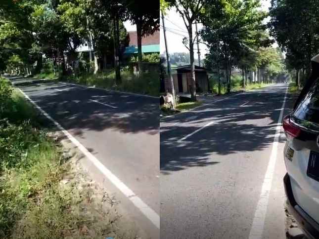 dijual tanah jalan raya junrejo