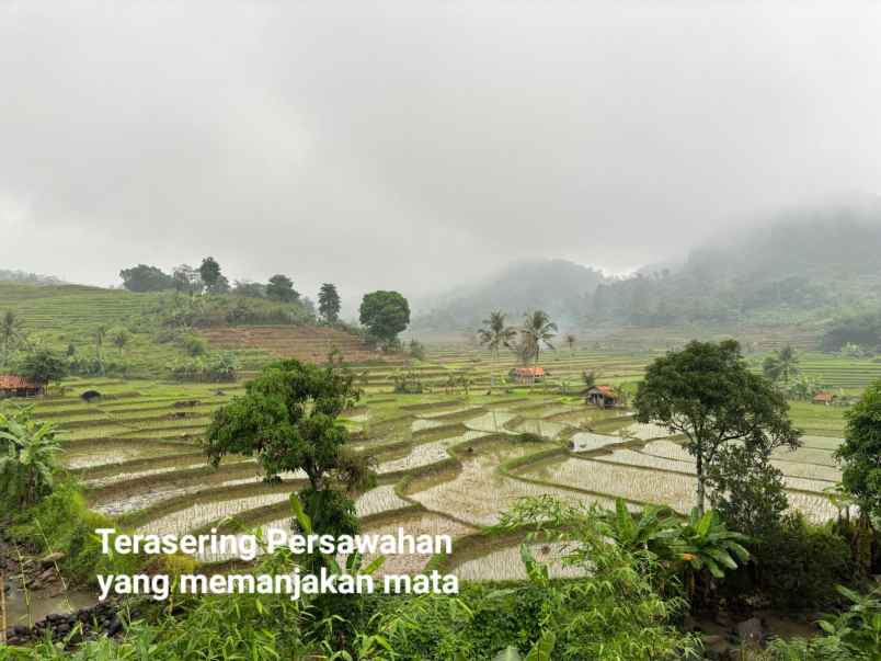 dijual tanah jalan raya transyogi