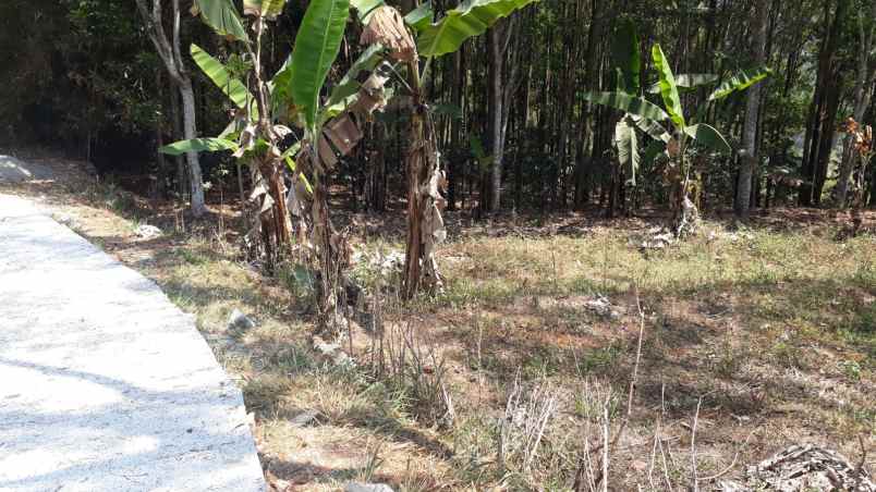 dijual tanah jalan sampok condong kp