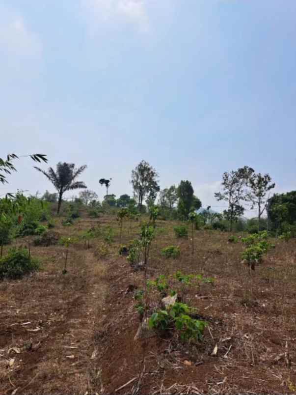 dijual tanah jl ciwidey