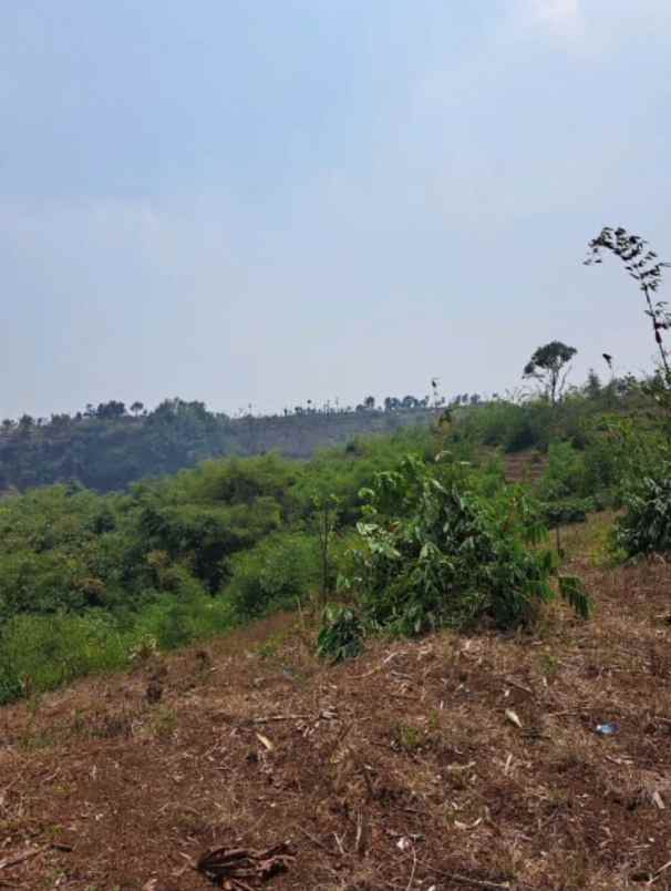 dijual tanah jl ciwidey