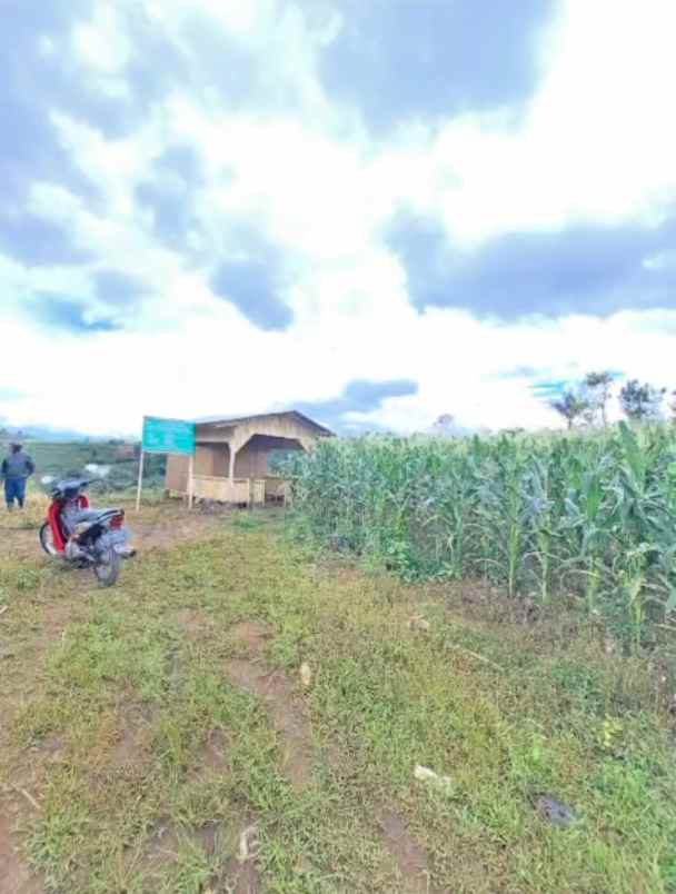 dijual tanah jl ciwidey