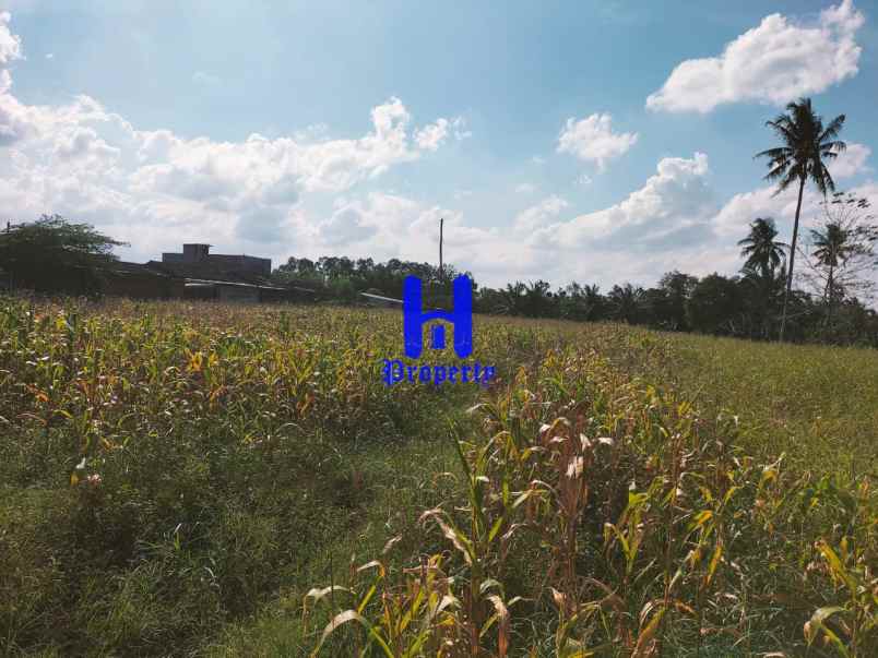 dijual tanah jl danamon simp jl glugur