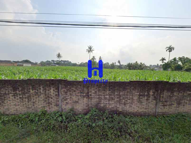 dijual tanah jl danamon simp jl glugur