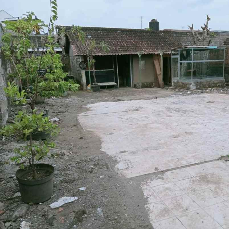 dijual tanah jl dewi madri