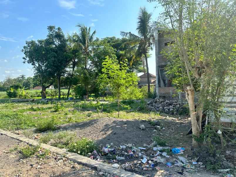 dijual tanah jl utara potorono