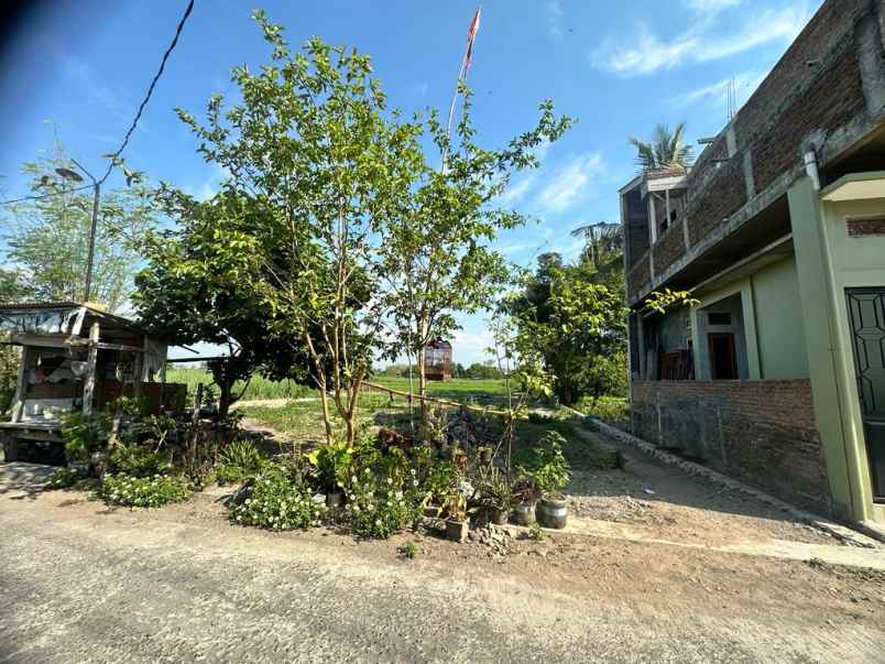 dijual tanah jl utara potorono