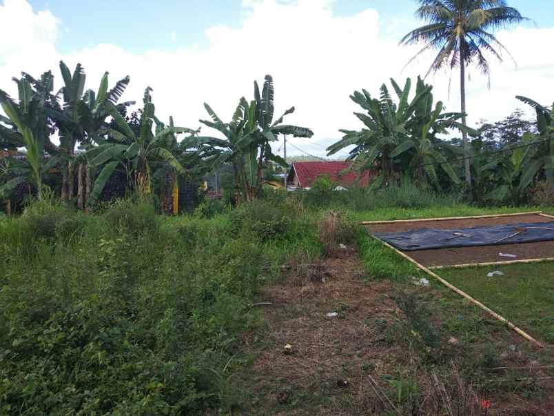 dijual tanah jl wan abdurrahman kemiling