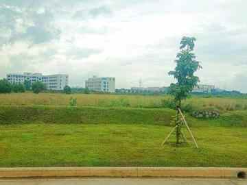 dijual tanah kavling industri kawasan deltamas