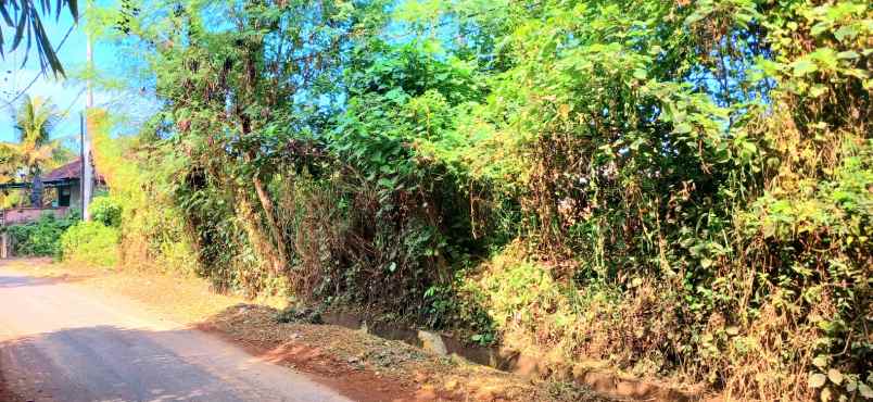 dijual tanah keramas blahbatuh gianyar bali