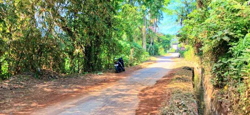 dijual tanah keramas blahbatuh gianyar bali