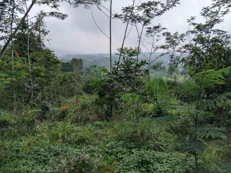 dijual tanah kiarapedes