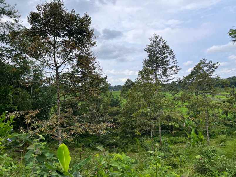 dijual tanah kota wisata karangpandan