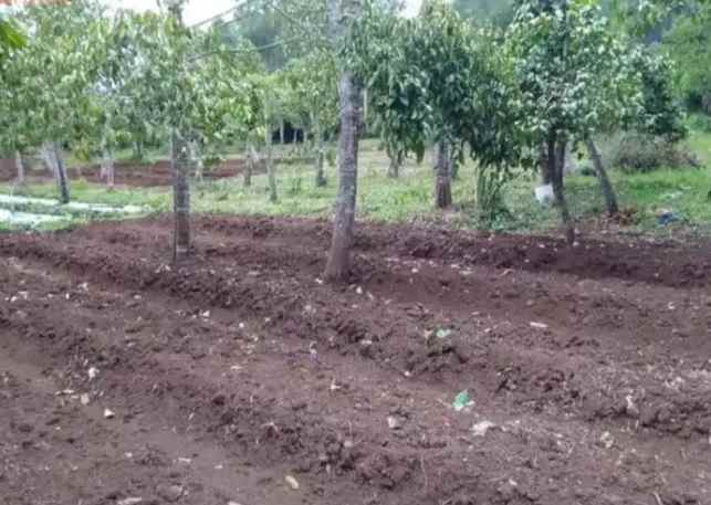 dijual tanah kusuma agrowisata