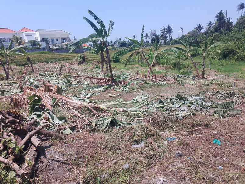dijual tanah lokasi di sebelah barat pantai cemagi