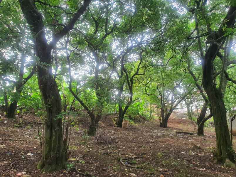 dijual tanah luas shm dekat depok town square