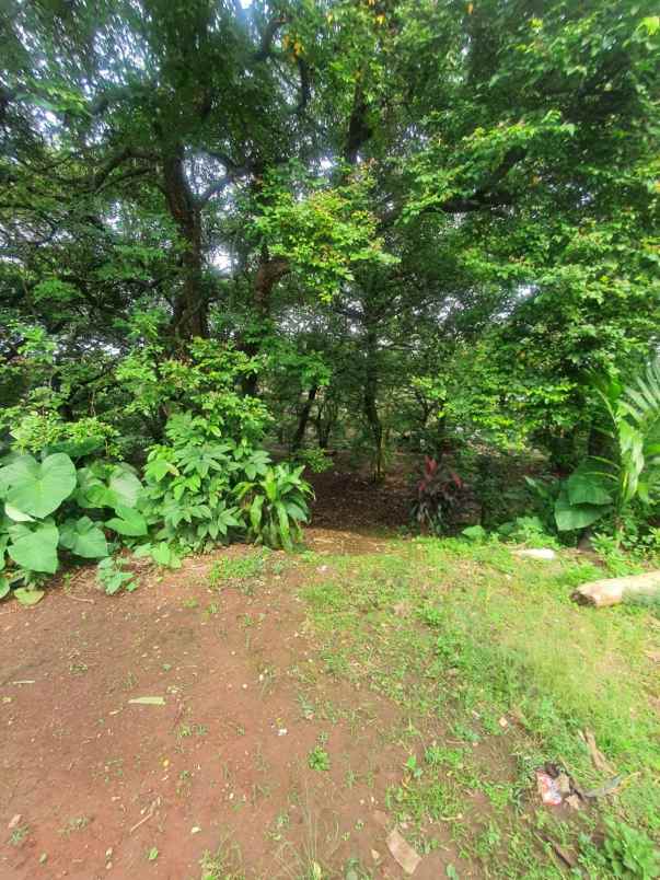 dijual tanah luas shm dekat depok town square