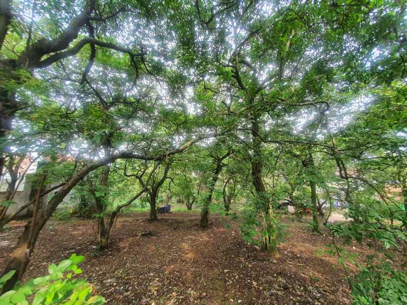 dijual tanah luas shm dekat depok town square