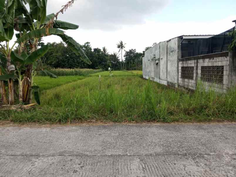 dijual tanah mlati