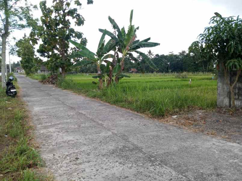dijual tanah mlati