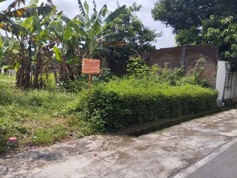 dijual tanah pajang laweyan surakarta