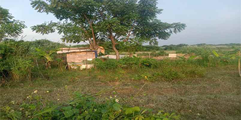 dijual tanah pasir gombong