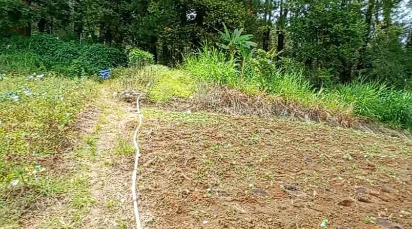 dijual tanah peceren desa sempajaya