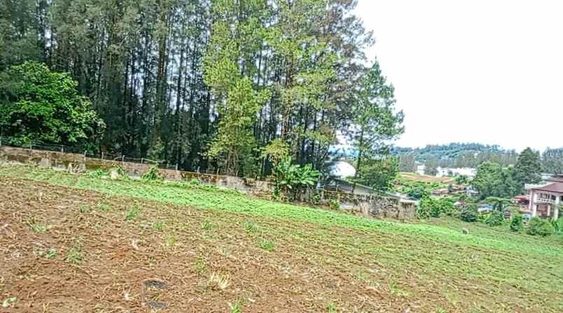 dijual tanah peceren desa sempajaya