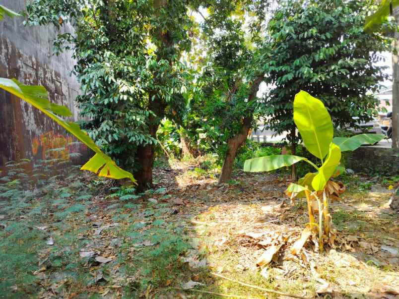 dijual tanah pendowoharjo sewon bantul