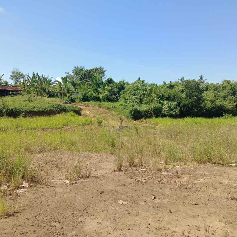 dijual tanah perumahan wira kumala asri