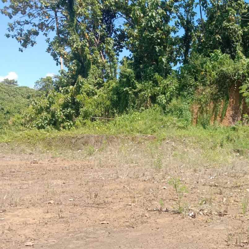 dijual tanah perumahan wira kumala asri