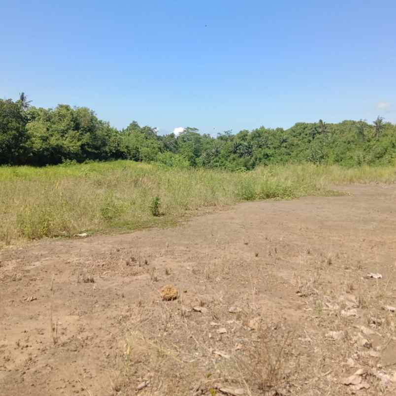 dijual tanah perumahan wira kumala asri