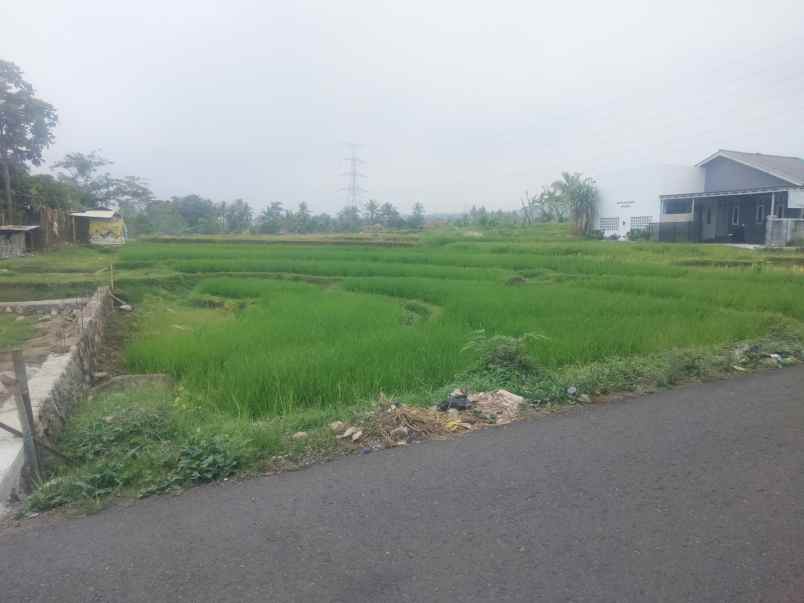 dijual tanah sawah pinggir jl view bagus