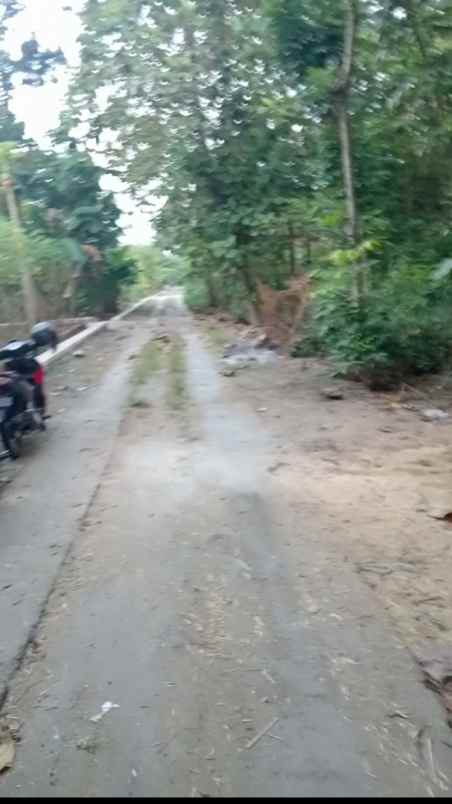 dijual tanah sidoharjo sragen jawa tengah