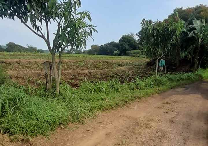 dijual tanah strategispinggir jalan kabupaten