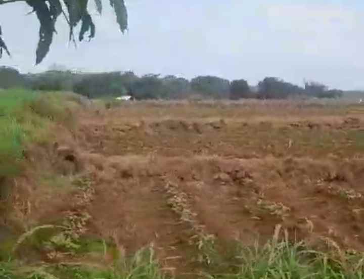dijual tanah strategispinggir jalan kabupaten